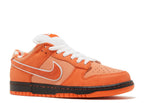 Nike Concepts x Dunk Low SB 'Orange Lobster' (FD8776-800)