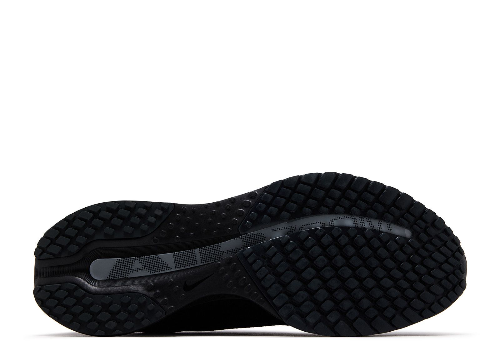 Nike Pegasus Premium SP 'Black Metallic Silver' (IH4369-001)